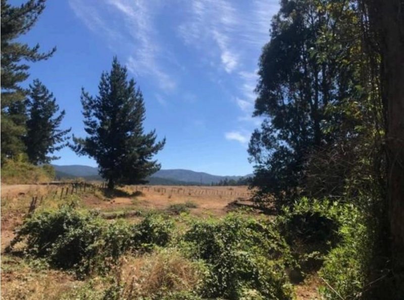 Terreno en Venta en La Colonia Lautaro, Cautin