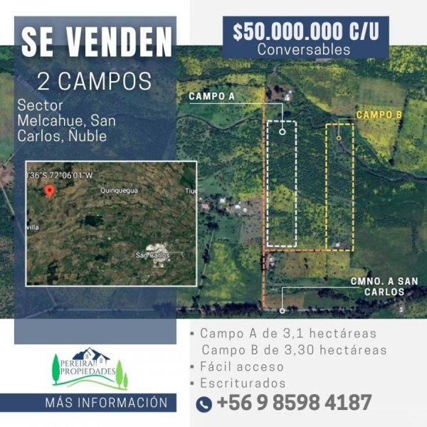 Foto Agricola en Venta en Melcahue, San Carlos, Ñuble - 3 hectareas - $ 50.000.000 - AGV153016 - BienesOnLine