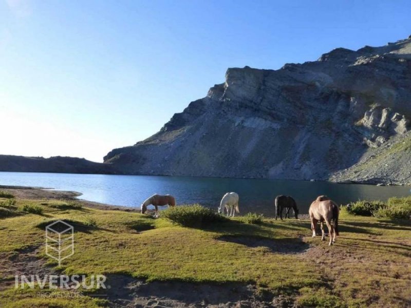 Parcela en Venta en Linares Maule, Talca