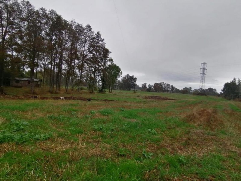 Terreno en Venta en Norte Sector  Rapaco, Valdivia