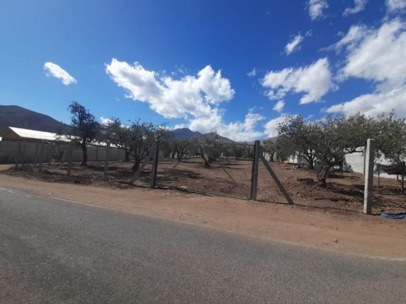 Terreno en Venta en Central Santa María, San Felipe de Aconcagua