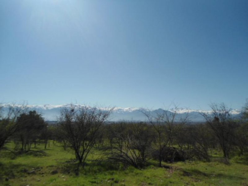 Foto Parcela en Venta en Rinconada, Los Andes - $ 30.000.000 - PAV34999 - BienesOnLine