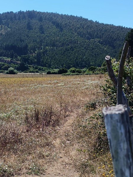 Parcela en Venta en TALCAMAVIDA Cobquecura, Ñuble