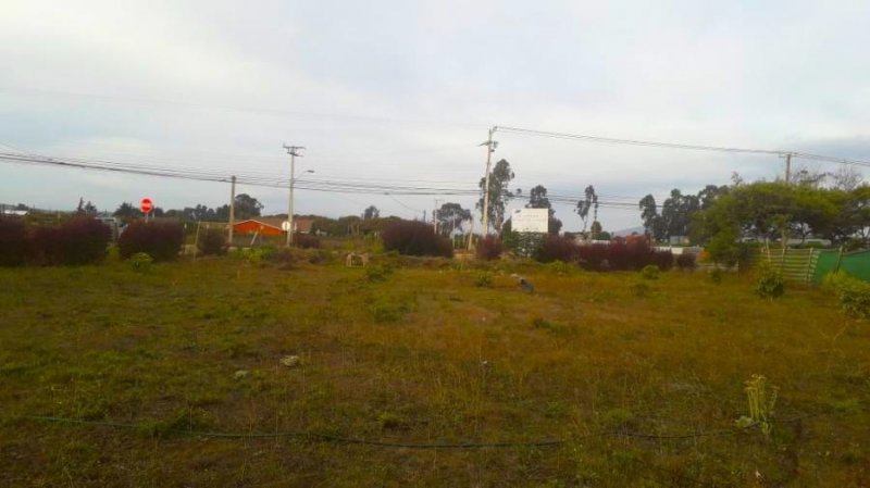 Foto Terreno en Venta en Santo Domingo, San Antonio - UFs 4.500 - TEV121121 - BienesOnLine