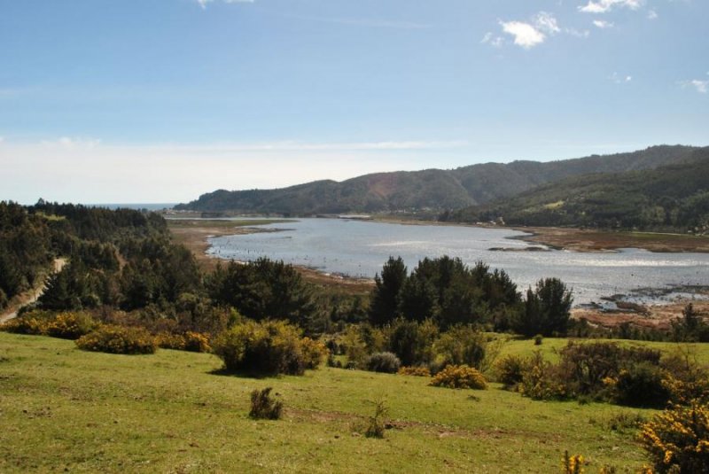 Foto Parcela en Venta en Mariquina, Valdivia - $ 25.000.000 - PAV109848 - BienesOnLine