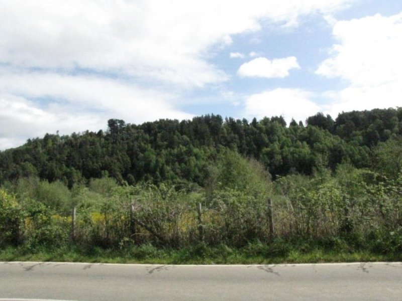 Foto Terreno en Venta en Valdivia, Valdivia - UFs 8.908 - TEV101038 - BienesOnLine