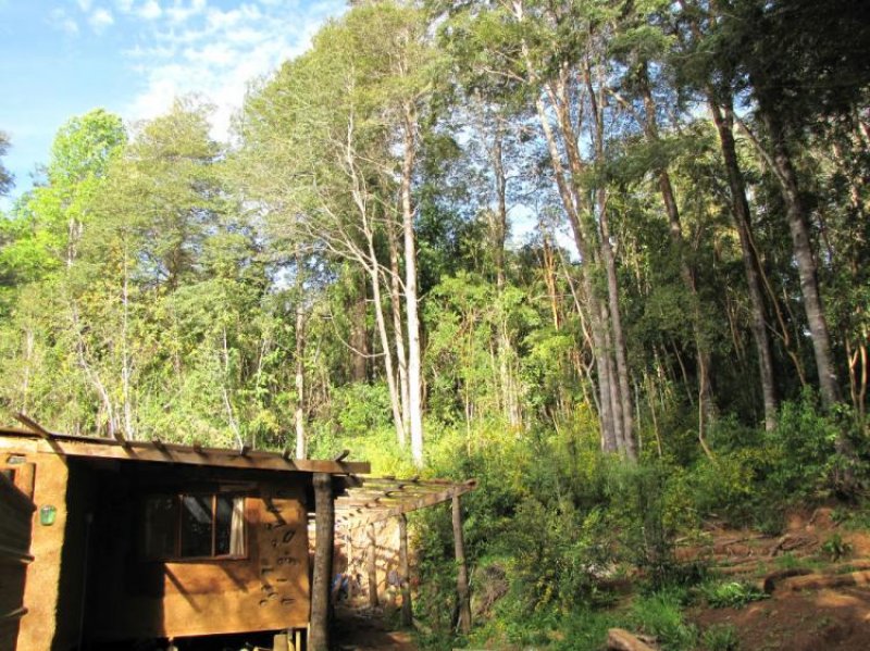 Casa en Venta en  Valdivia, Valdivia