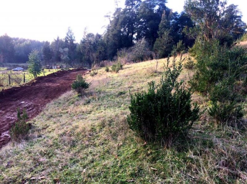 Foto Terreno en Venta en Valdivia, Valdivia - UFs 1.166 - TEV67971 - BienesOnLine