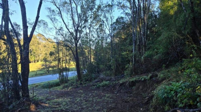 TERRENO 1 HECTAREA, KM 24 RUTA NUEVA BRAUNAU-  PUERTO VARAS