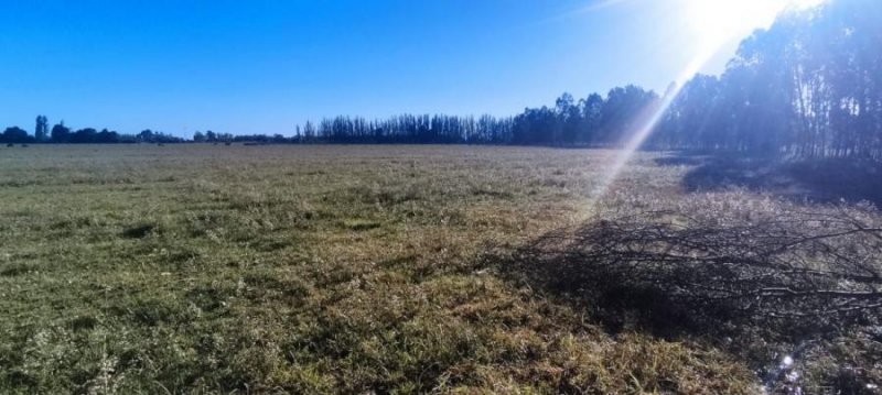 Agricola en Venta en  San Clemente, Talca