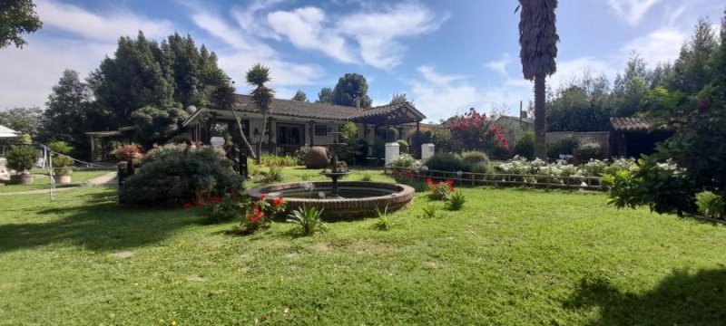 Agricola en Venta en  San Clemente, Talca