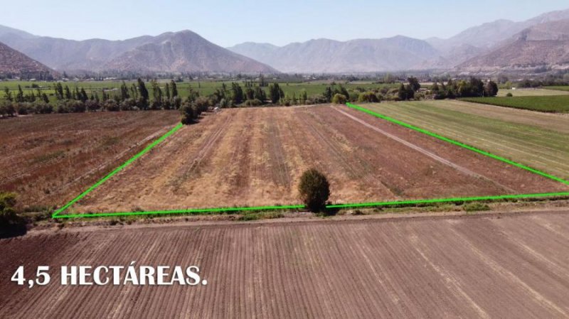 Terreno agrícola de 4,5 Hectáreas con derecho a riego en  Catemu.