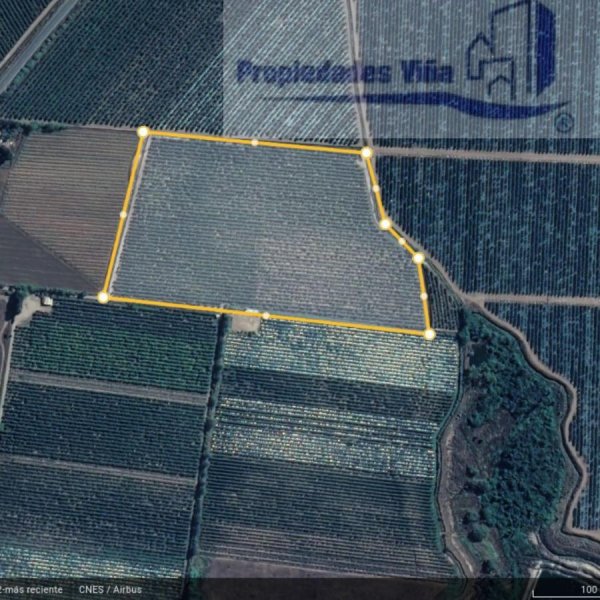 Agricola en Venta en  Molina, Talca