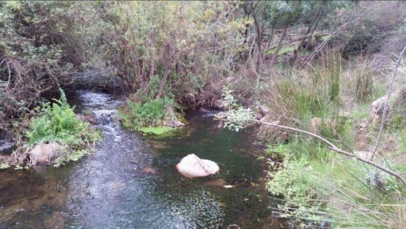 Terreno en Venta en Límite navidad Litueche, Cardenal Caro