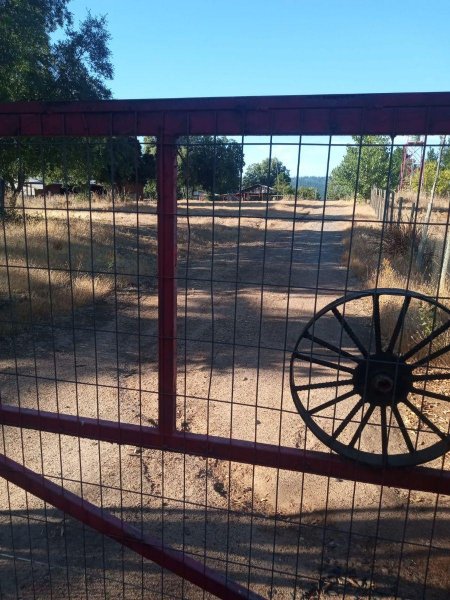 Terreno en Venta en  Sector El Galponcillo Ñipas Ránquil. Región de Ñub, Ñuble