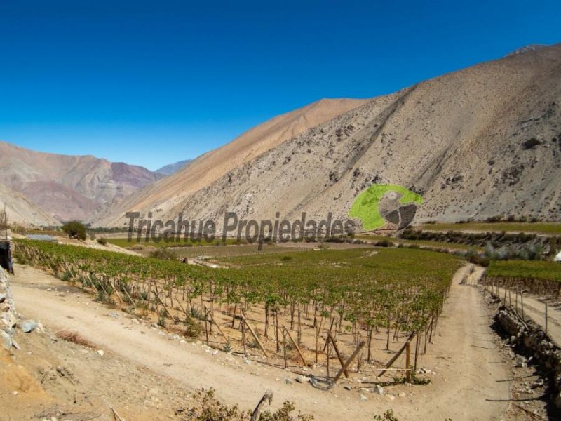 Terreno en Venta en Valle del Elqui Quebrada de Paihuano, Elqui