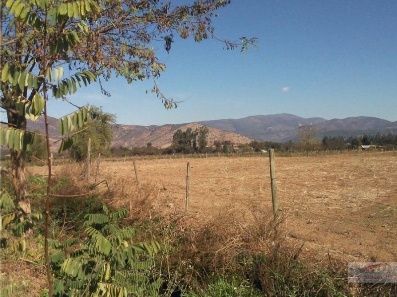 Foto Terreno en Venta en Nogales, Quillota - $ 95.000.000 - TEV105413 - BienesOnLine