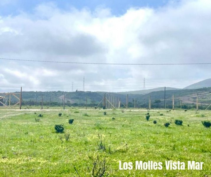 Terreno en Venta en  la ligua, Petorca