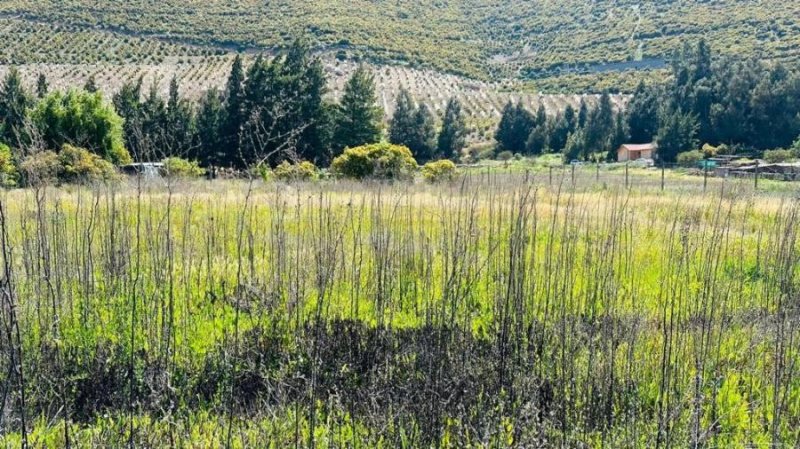 Terreno en Venta en  Panquehue, San Felipe de Aconcagua