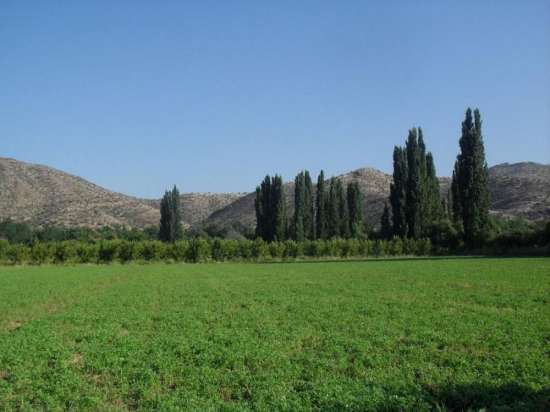 Terreno en Venta en  Putaendo, San Felipe de Aconcagua