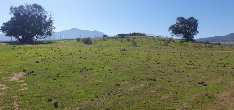 Terreno en Venta en  Los Hornos  Huaquen, Petorca