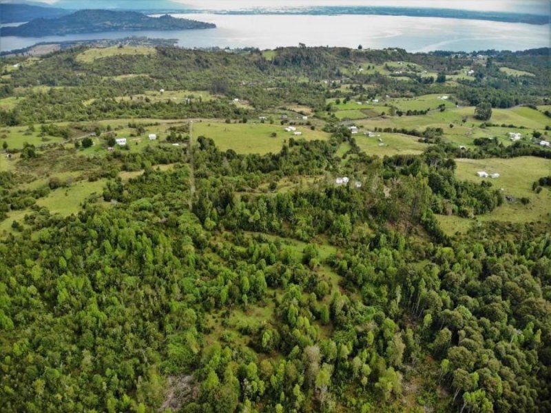 Terreno en Venta en mantilhue Mantilhue de Puyehue, Osorno