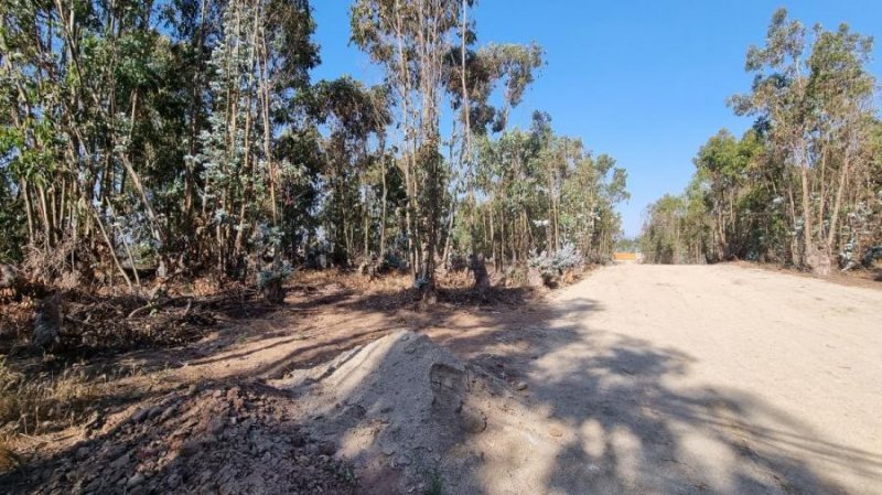 Terreno en Venta en Horcón Puchuncaví, Valparaiso