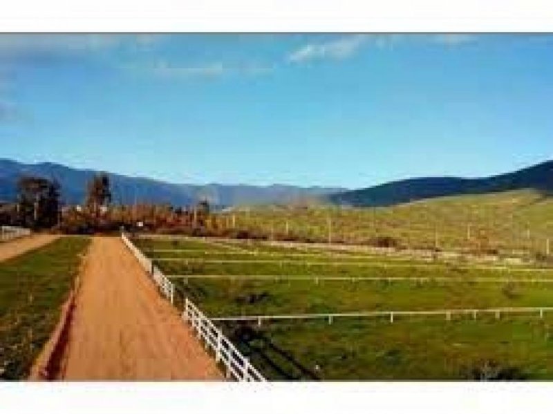 Foto Terreno en Venta en quebradilla, La Ligua, Petorca - UFs 1.200 - TEV129820 - BienesOnLine