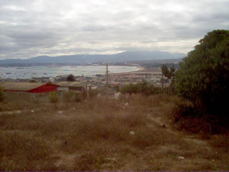 Foto Terreno en Venta en EL CRISTO, Quintero, Valparaiso - $ 40.000.000 - TEV748 - BienesOnLine