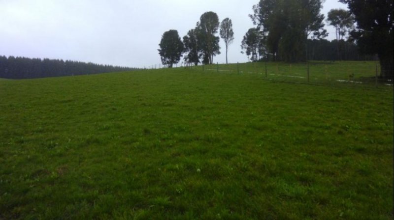 Agricola en Venta en Tegualda Fresia, Llanquihue