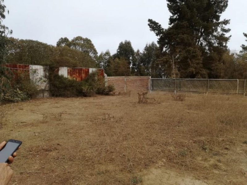 Foto Terreno en Venta en Concón, Valparaiso - $ 240.000.000 - TEV94445 - BienesOnLine