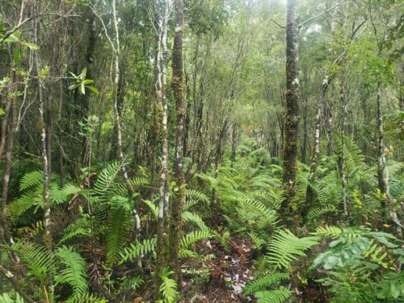 Parcela en Venta en  Puerto Montt, Llanquihue