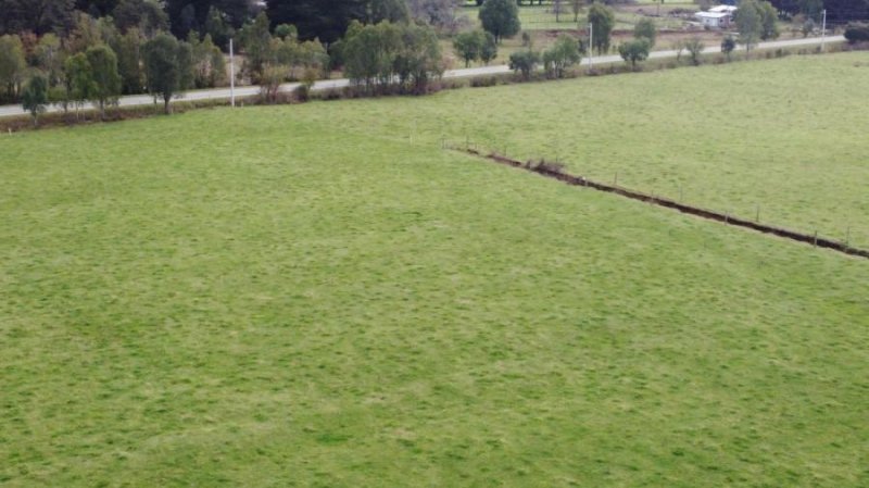 Foto Agricola en Venta en Rural, Los Muermos, Llanquihue - UFs 31.949 - AGV142430 - BienesOnLine