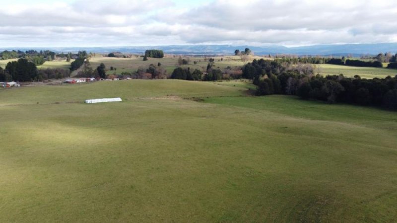 Agricola en Venta en  Fresia, Llanquihue