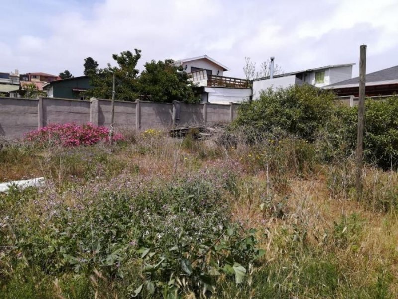 Foto Terreno en Venta en Concón, Valparaiso - $ 110.000.000 - TEV94448 - BienesOnLine