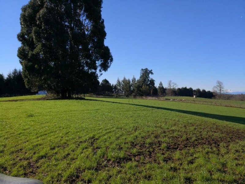 Foto Agricola en Venta en Puerto Montt, Llanquihue - $ 25.000.000 - AGV97973 - BienesOnLine