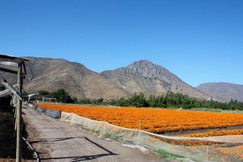 VENDEMOS parcela a orilla de carretera