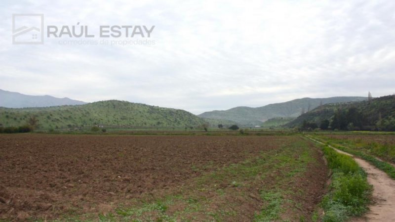 Parcela en Venta en  San Felipe, San Felipe de Aconcagua