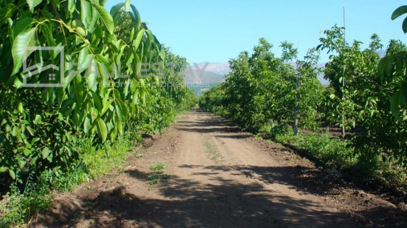 Terreno en Venta en  Llaillay, San Felipe de Aconcagua