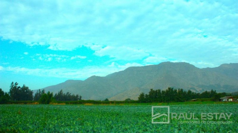 Parcela en Venta en  Catemu, San Felipe de Aconcagua