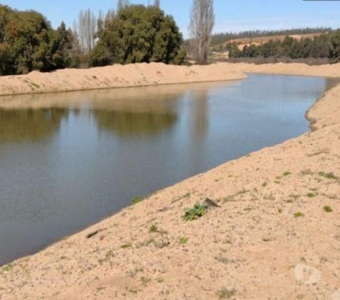 Agricola en Venta en  Pumanque, Colchagua