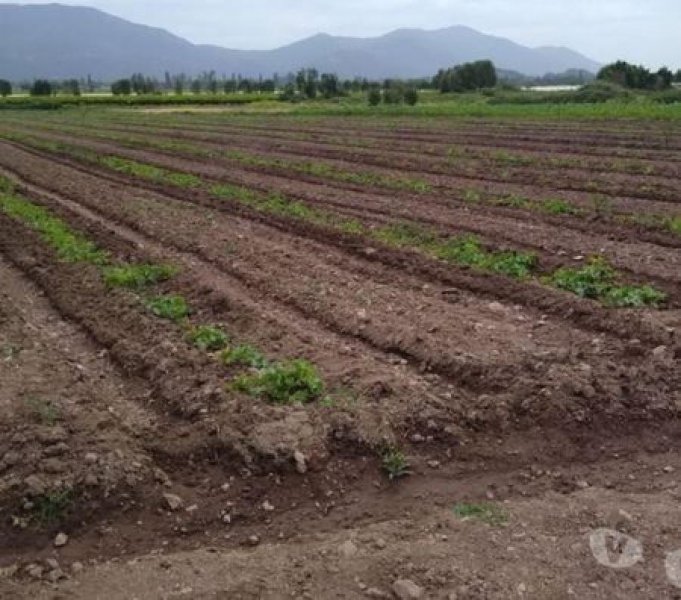 Agricola en Venta en San Fernando San Fernando, Colchagua