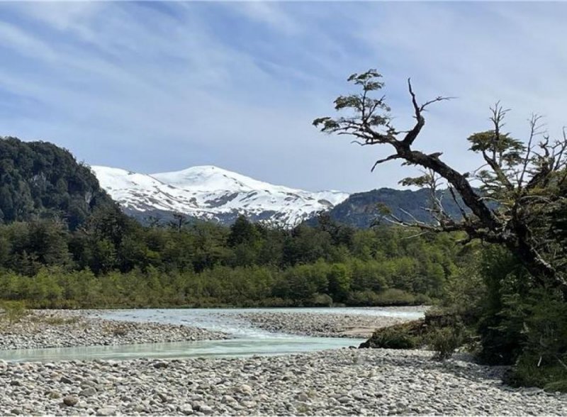 Agricola en Venta en Municipalidad de Río Ibañez Alto Río Murta, Aisen