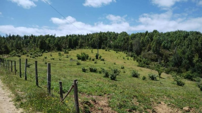 Terreno en Venta en  Estaquilla, Llanquihue