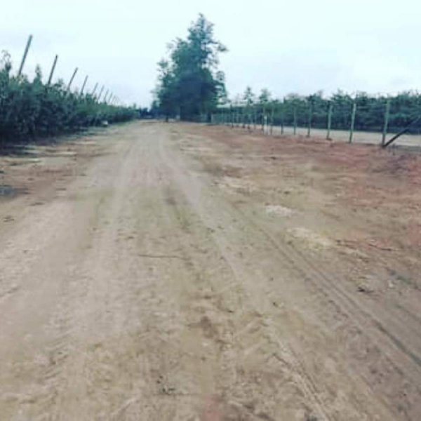 Agricola en Venta en  Placilla, Colchagua