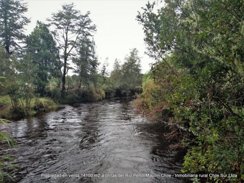 Vendo parcela de 14.100 m2 a orillas del Rio Peñol - Maullin - sur de Chile