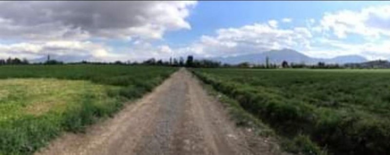 Agricola en Venta en  San Felipe, San Felipe de Aconcagua