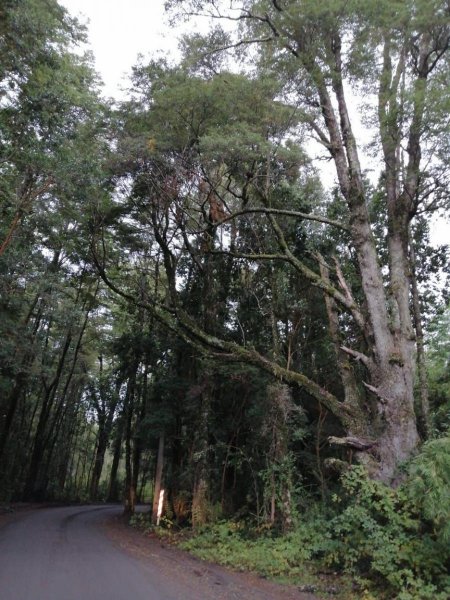 Parcela en Venta en  Ruta 225 camino a ensenada, Llanquihue