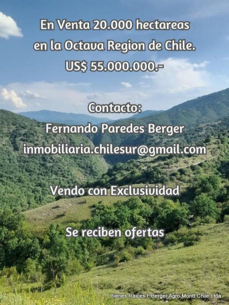 Agricola en Venta en  Alto Biobio, Biobio