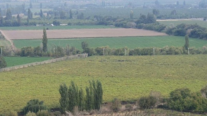 Agricola en Venta en  Rinconada, Los Andes